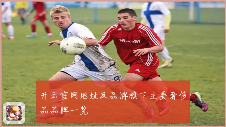 开云官网地址及品牌旗下主要奢侈品品牌一览