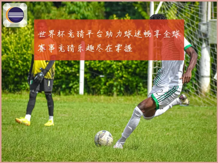 世界杯竞猜平台助力球迷畅享全球赛事竞猜乐趣尽在掌握