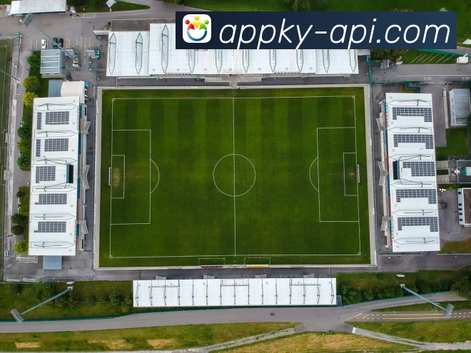 开云官方入口全新体验引领时尚奢侈品购物潮流