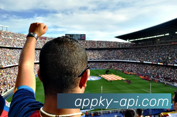 开云APP 体育赛事宣传图